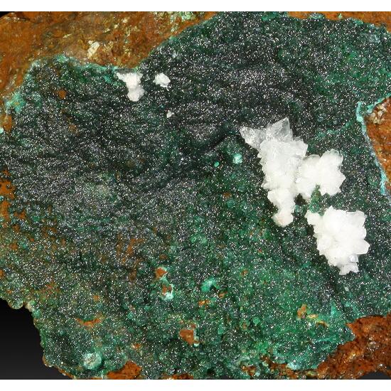 Cuprian Adamite & Aragonite