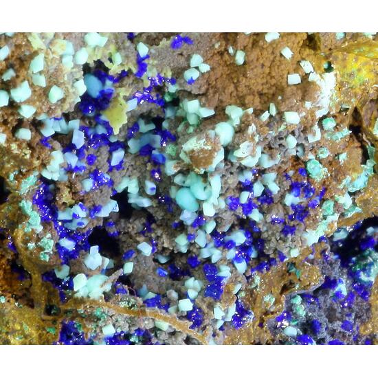 Aurichalcite Azurite Cuprite & Adamite