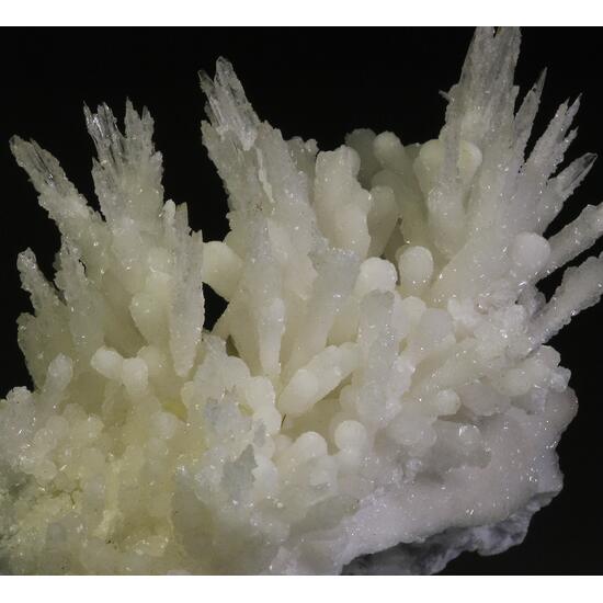 Aragonite