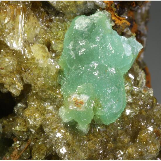 Cuprian Adamite & Adamite