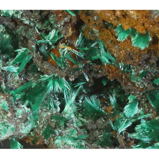 Malachite & Brochantite