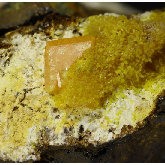 Wulfenite & Mimetite