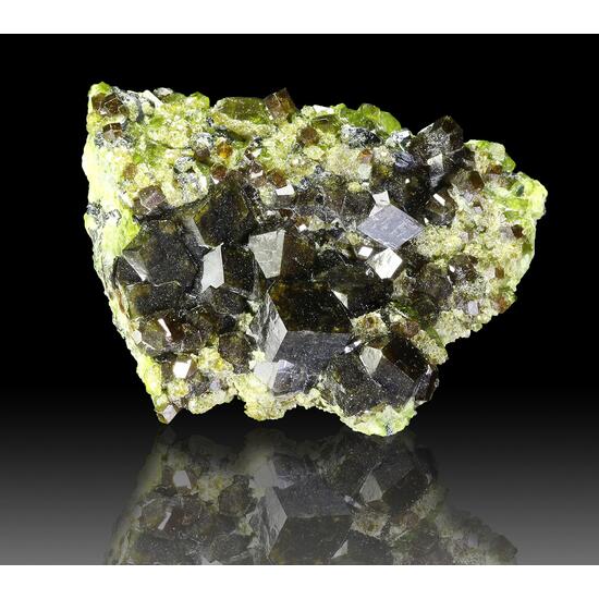 Andradite Epidote & Biotite