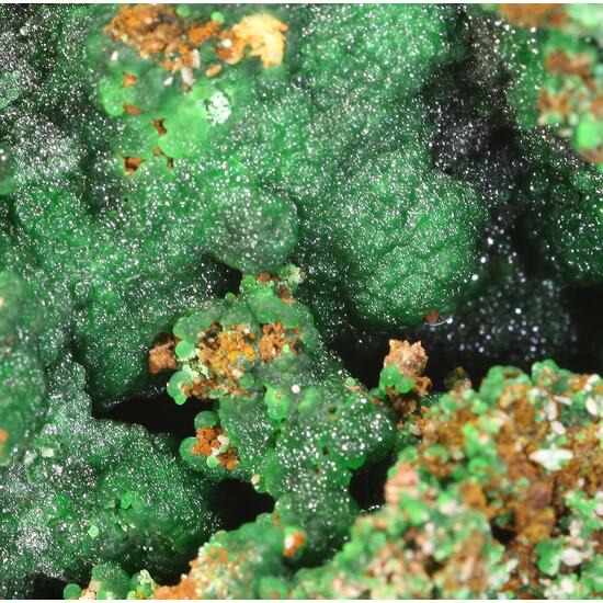 Conichalcite & Cuprian Adamite