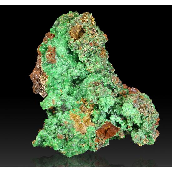 Conichalcite & Cuprian Adamite