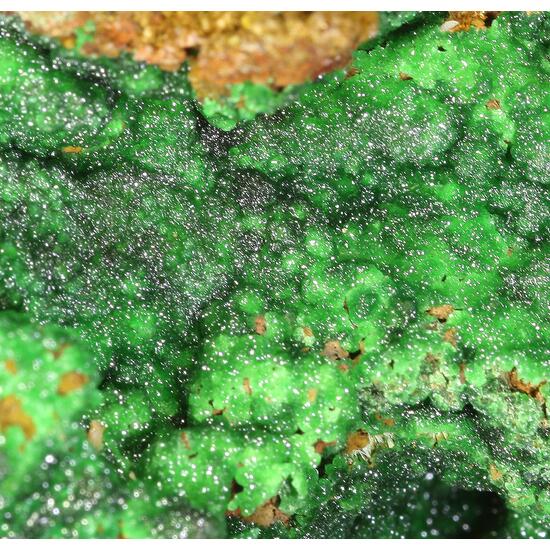 Conichalcite & Cuprian Adamite