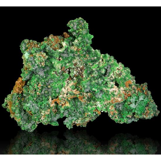 Conichalcite & Cuprian Adamite