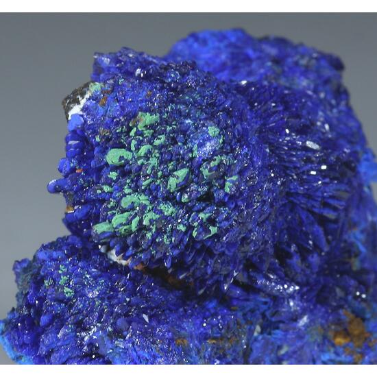 Azurite & Conichalcite