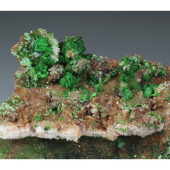 Conichalcite & Quartz