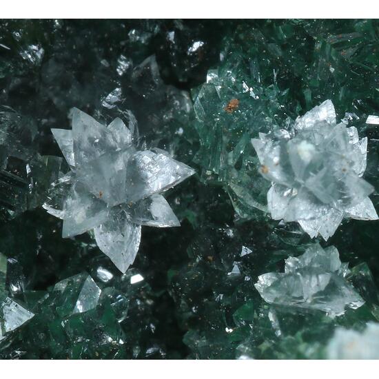 Cuprian Adamite & Aragonite