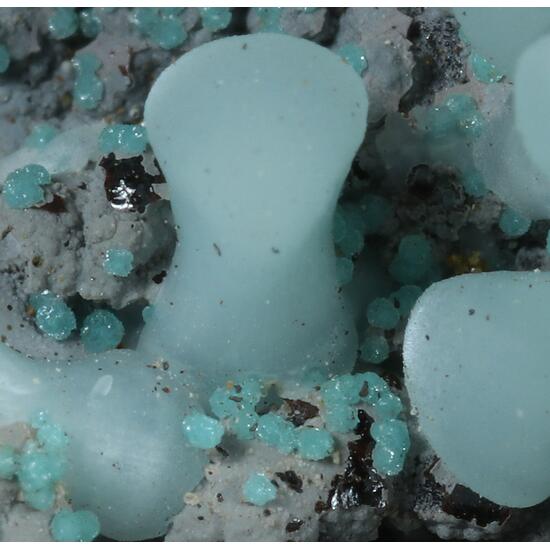 Smithsonite & Adamite