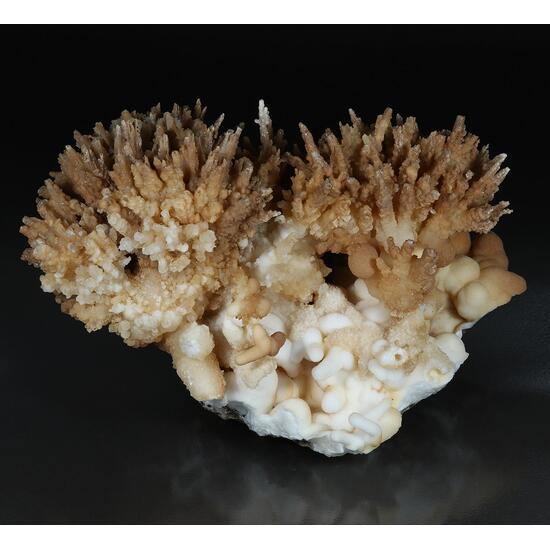 Aragonite