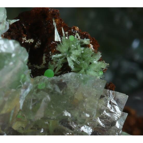 Conichalcite Aragonite & Olivenite