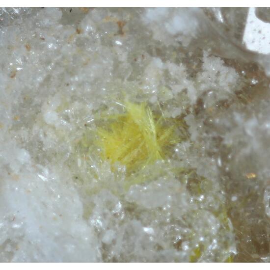 Sklodowskite & Gypsum