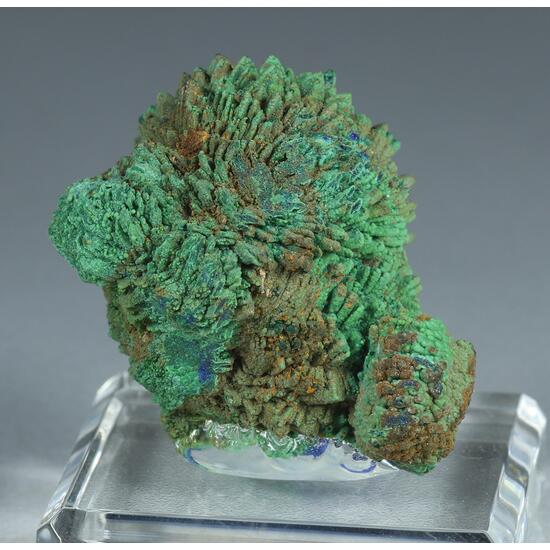 Conichalcite Psm Azurite