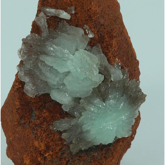 Cuprian Adamite