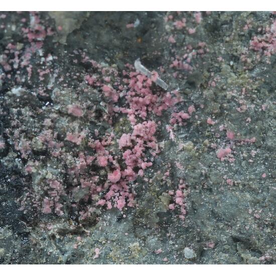 Erythrite