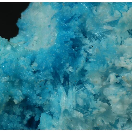 Serpierite & Aragonite