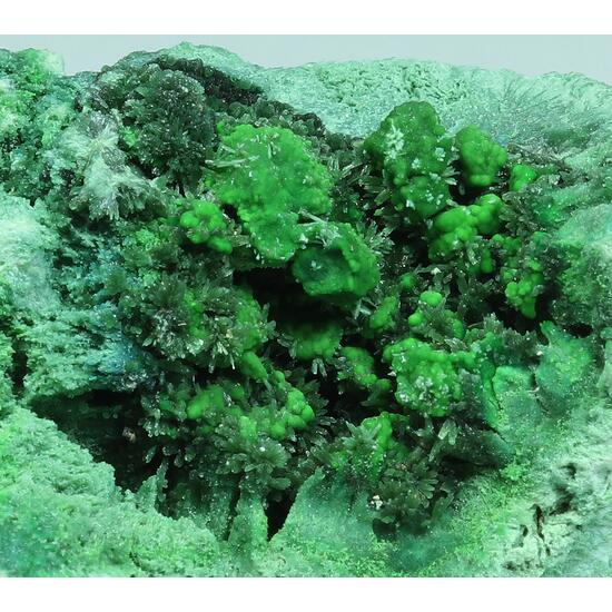 Olivenite & Conichalcite