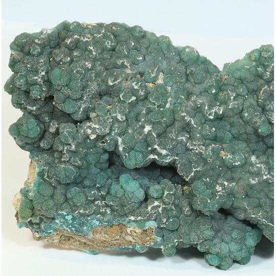 Cuprian Adamite