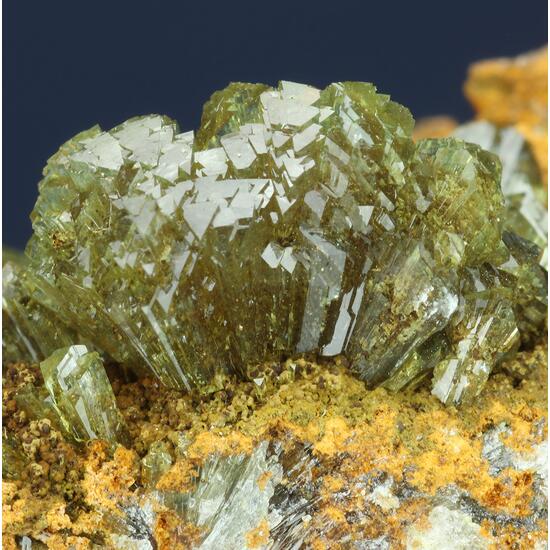 Adamite