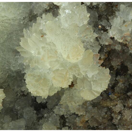 Aragonite