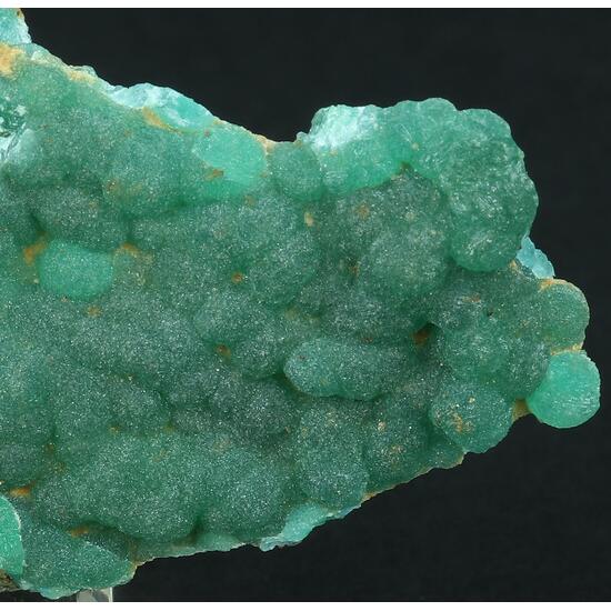 Cuprian Adamite