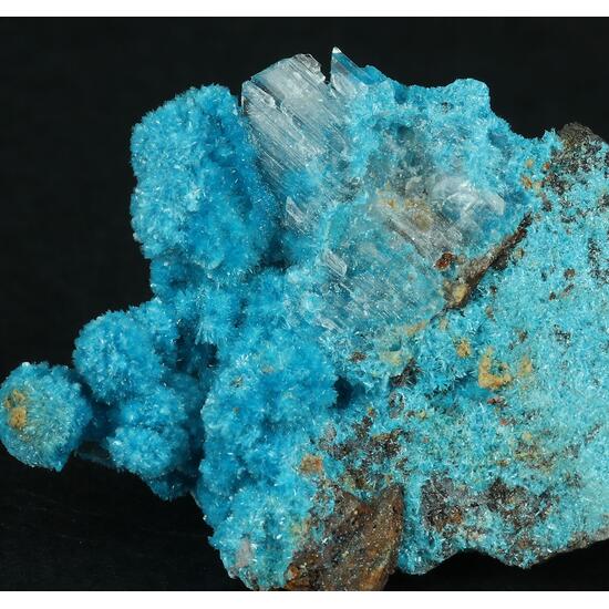 Serpierite & Gypsum