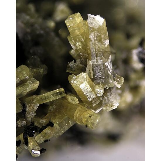 Pyrosmalite-(Fe)