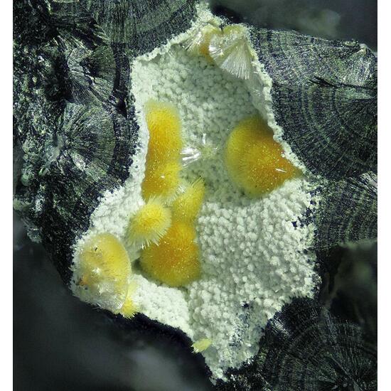 Meurigite-K & Rockbridgeite