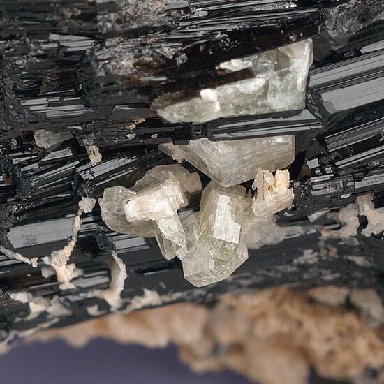 Apatite On Tourmaline Var Schorl