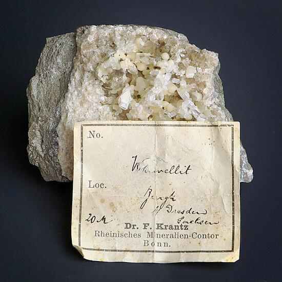 Whewellite & Anhydrite On Calcite