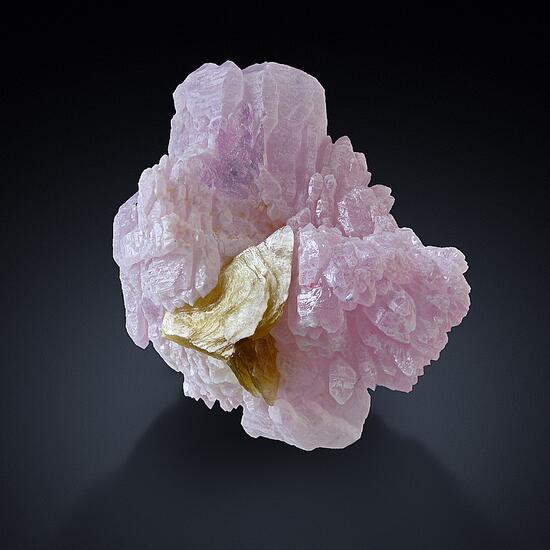 Rose Quartz With Phlogopite