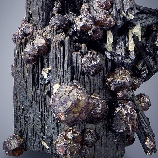 Fluorite On Schorl With Beryl