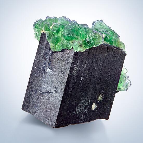 Fluorite On Schorl