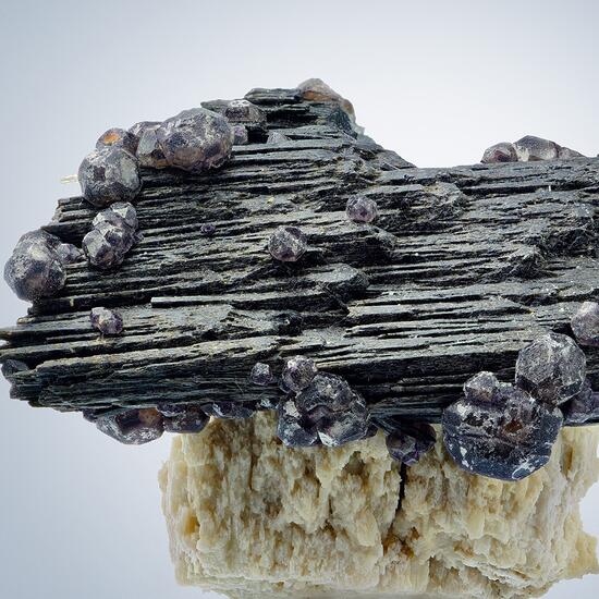 Fluorite On Schorl With Beryl