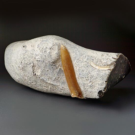 Belemnite In Flint