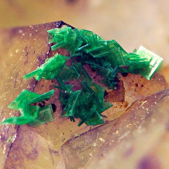 Metazeunerite On Fluorite