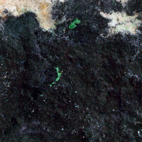 Fluorite Psm Petrified Wood Malachite