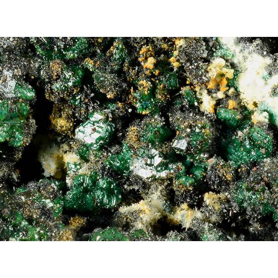 Lammerite