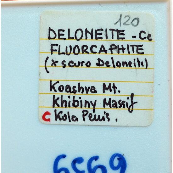 Fluorcaphite & Deloneite