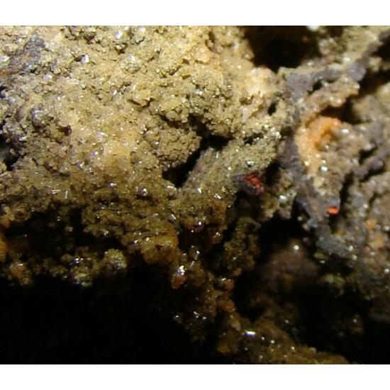 Willemite