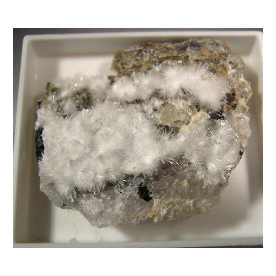 Picropharmacolite