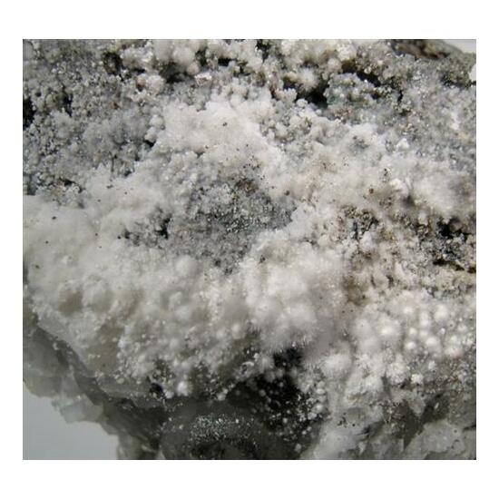 Picropharmacolite