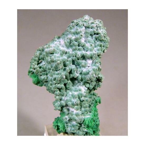 Conichalcite & Olivenite