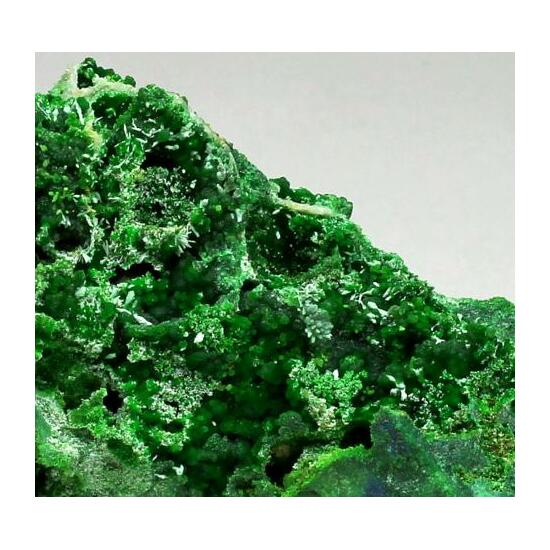 Conichalcite & Olivenite