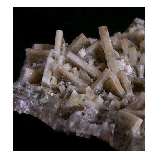 Baryte