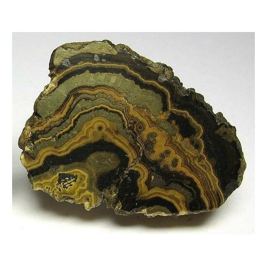 Schalenblende