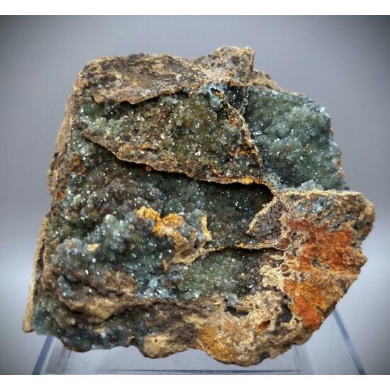 Manganoan Adamite & Adamite