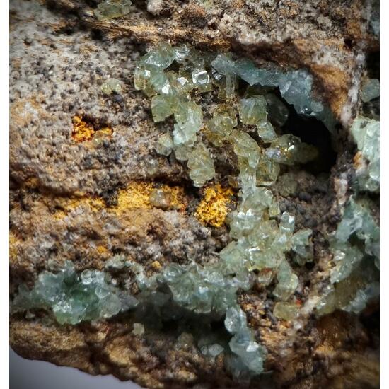 Manganoan Adamite & Adamite